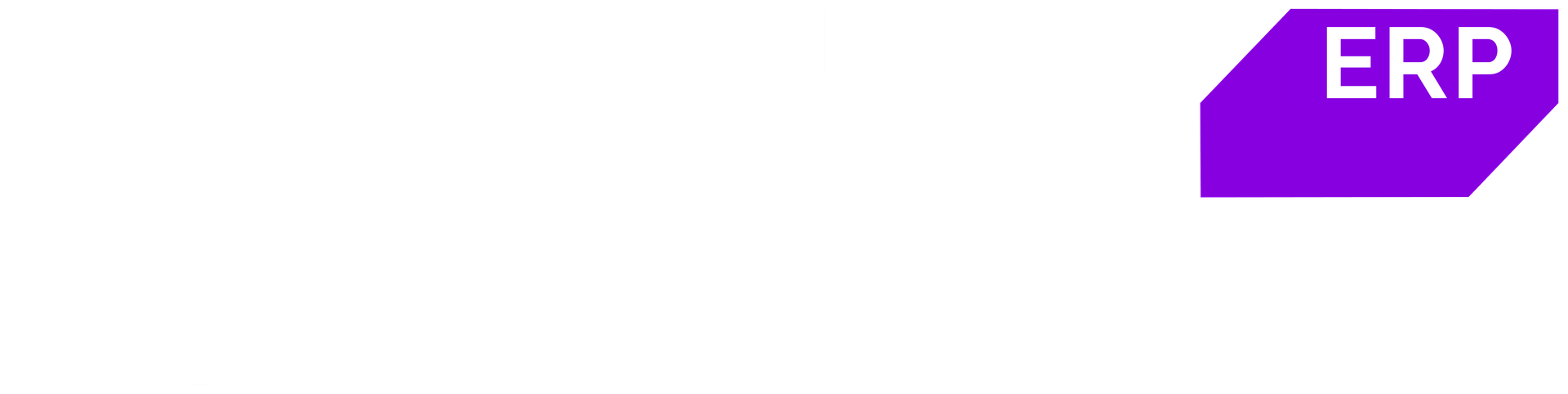 BDR ERP